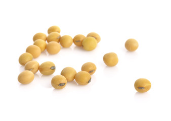 soybean isolated on white background