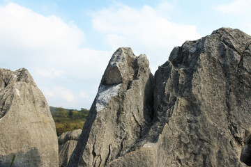 秋の秋吉台 