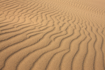 鳥取砂丘の風紋