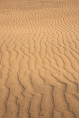 鳥取砂丘の風紋