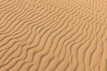 鳥取砂丘の風紋