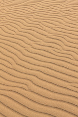 鳥取砂丘の風紋