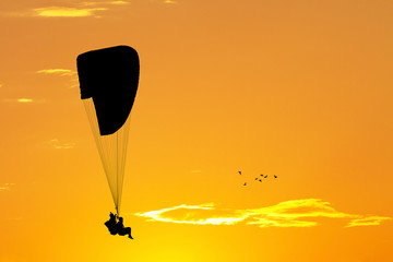 paragliding silhouette at sunset - obrazy, fototapety, plakaty
