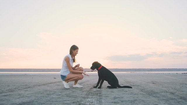 Young female playing and training labrador retriever dog on the beach at sunset, slow motion