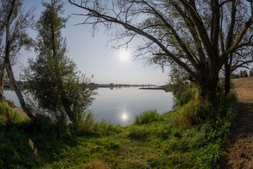 Morgensonne an der Oder, der Grenze zwischen Polen und Deutschland