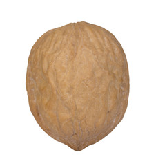 Naklejka premium Close-up of Walnut on the white background