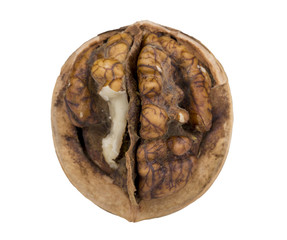Close-up of Walnut  on the white background