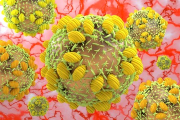 Hepatitis c HCV virus 3D  illustration