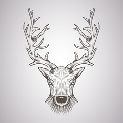 Deer Head in a graphic style
