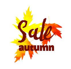 Autumn sale lettering design. Fall leaf. Label, banner template.