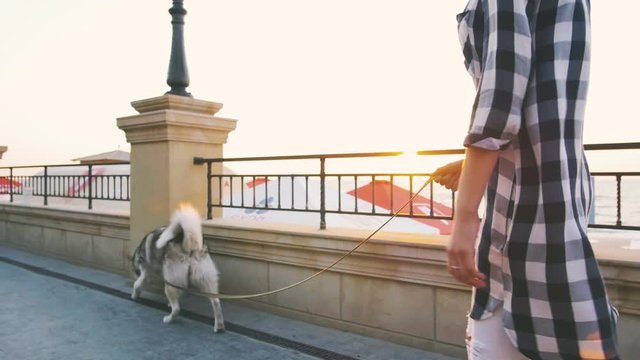 Young female walking with siberian husky dog on sea front at sunrise, slow motion