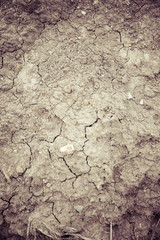 dry soil cracked earth texture vintage fillter