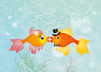 red fish in love