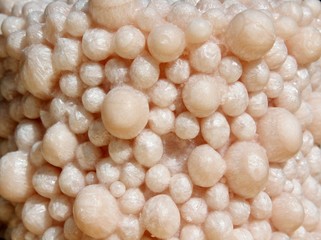 Beige creamy white wax bead unique background
