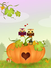 owls on the pumpkin in a heart shape