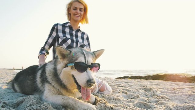 Siberian husky dog in sunglasses on the beach at sunset or sunrise