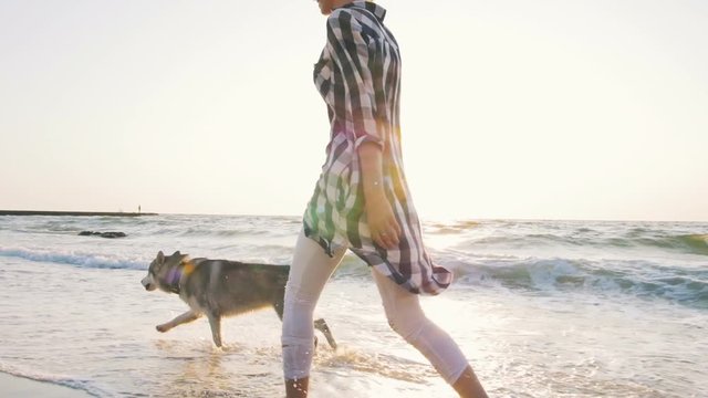 Young female walking and playing with siberian husky dog on the beach at sunrise,slow motion
