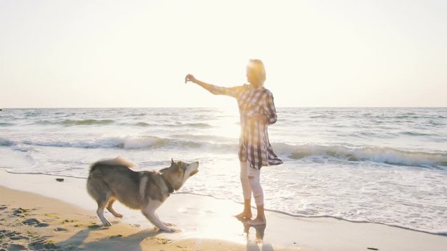 Young female running and playing with siberian husky dog on the beach at sunrise,slow motion