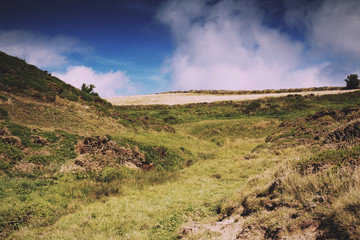 View of countryside from costal path near Polzeath Vintage Retro