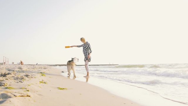 Young female playing and training with siberian husky dog on the beach at sunrise,slow motion