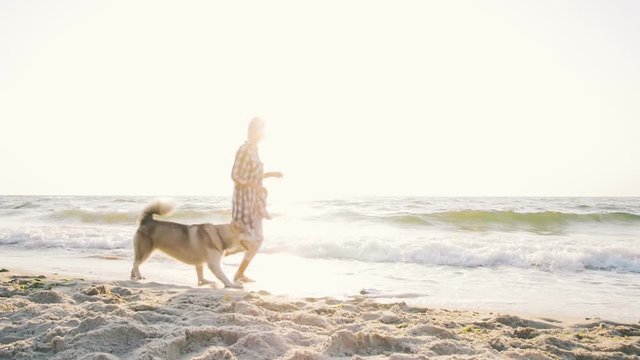 Young female playing and training with siberian husky dog on the beach at sunrise,slow motion