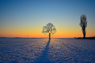 Sunset on the fields of Slavonia, on a beautiful winter idyll.
