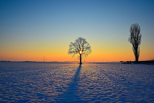 Sunset on the fields of Slavonia, on a beautiful winter idyll.
