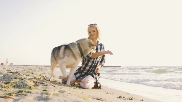 Young female playing with siberian husky dog on the beach at sunrise