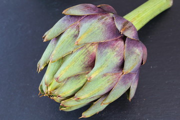 Globe artichoke