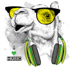 The image of the camel in the glasses, headphones and in hip-hop hat. Vector illustration. - 120938650