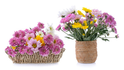 chrysanthemums in basket on white background