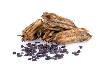 sesame on white background