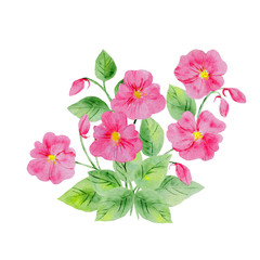 watercolor patter of rose flowers bouquet vintage illustration on white