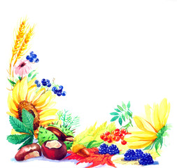 The composition of autumn leaves with fruits and vegetables made by hand drawing watercolor isolated on the white background. Post card of autumn season with flowers