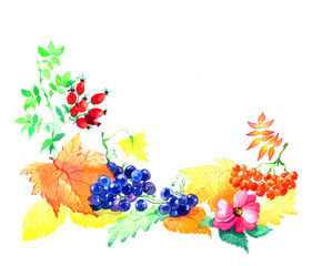 The composition of autumn leaves with fruits and vegetables made by hand drawing watercolor isolated on the white background. Post card of autumn season with flowers