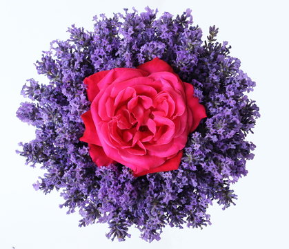 Top view of bouquet of lavender flowers and pink rose on a white background. Summer colorful bouquet with purple lavandula flowers and garden rose. Photo from above.