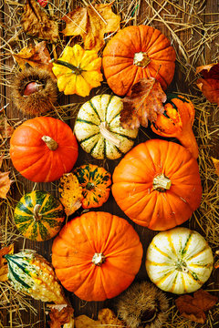 Harvest or Thanksgiving background with gourds and straw