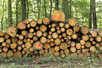 Holzpolter am Weg