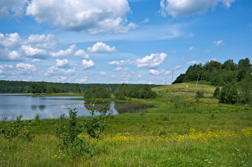 Obraz premium Russian summer meadow