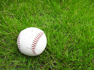 芝生と野球の硬式ボール
