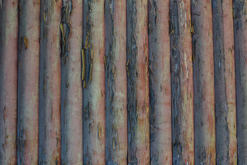 surface of old wall made from logs, background.