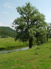 The beauty of nature