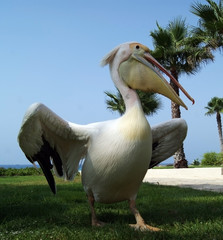 The beauty of nature