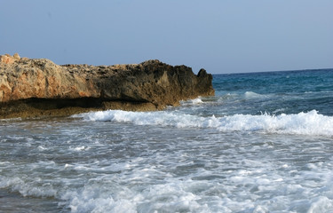 The beauty of nature