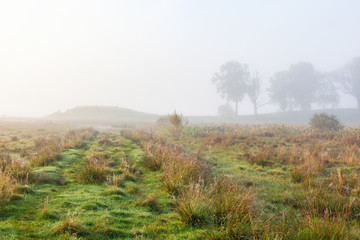 Path in the meadow toward the hill in the mist