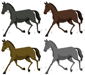 Horse in four colors