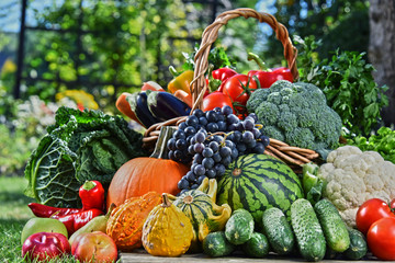 Variety of fresh organic vegetables and fruits in the garden