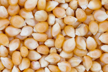 Popcorn Kernels Background