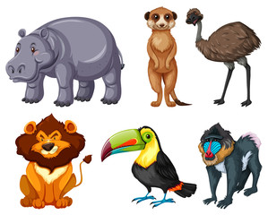 Different kinds of wild animals set