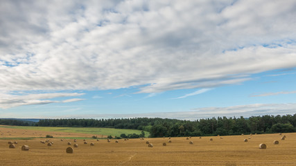 Obraz premium Landschaft im Spätsommer